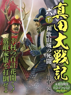 cover image of 真田大戦記　六　下　和歌山城の死闘